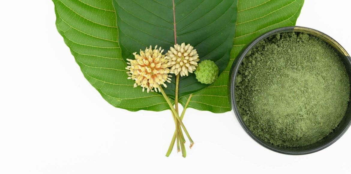 Kratom what to know