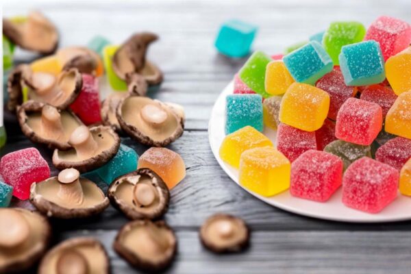 Shroom Safety: How to Plan Stress-Free and Safe Sessions